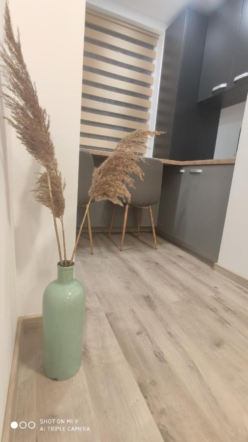 Apartamento Popasu Din Oras Baia Mare Exterior foto